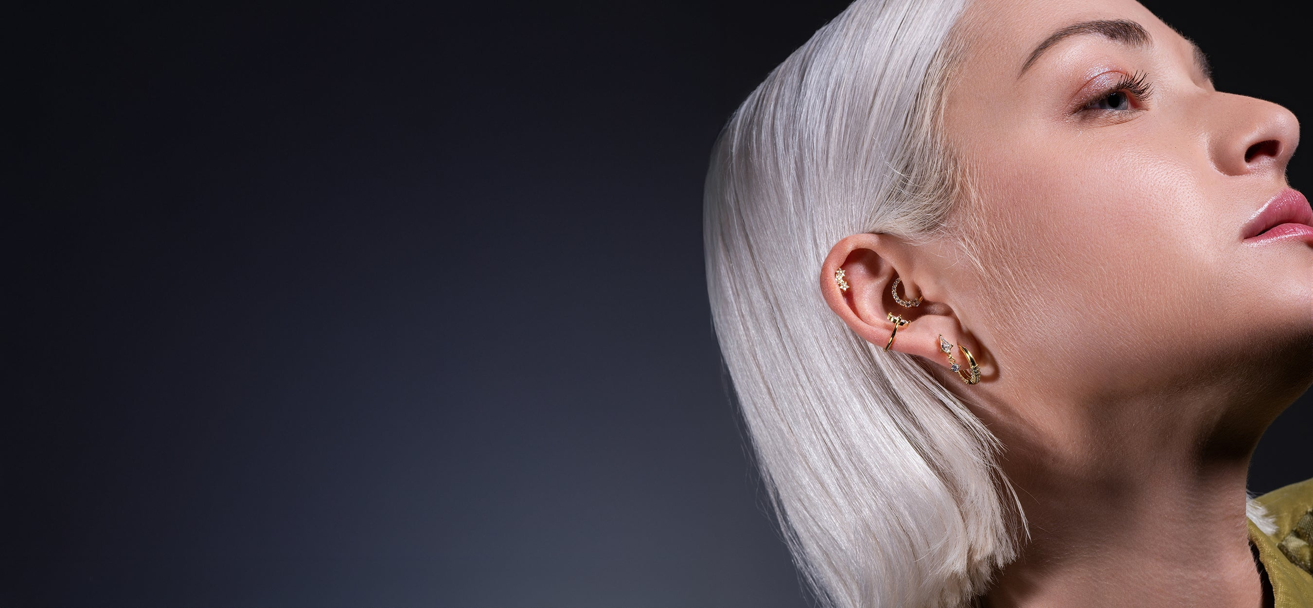 Image de la collection