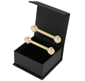 Piercing Téton Shine Titane